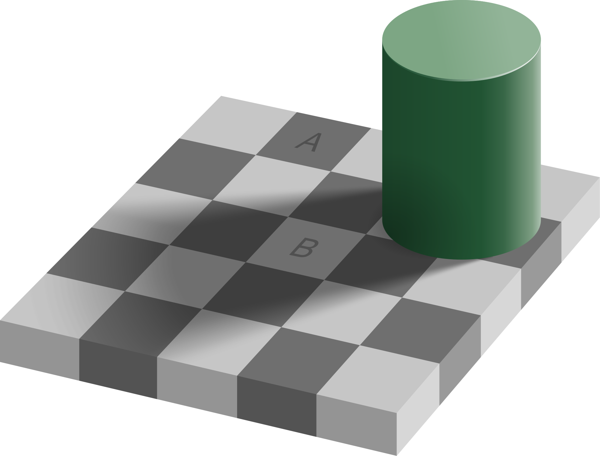 The checker shadow illusion. [Wikipedia](https://en.wikipedia.org/wiki/Checker_shadow_illusion)